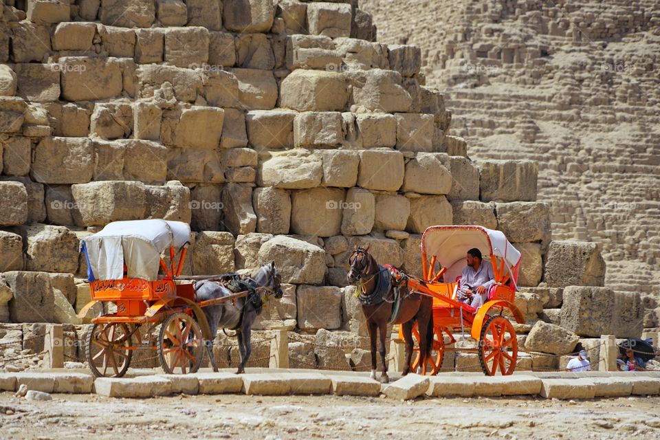 horse chariots in Giza pyramid compund of Egypt