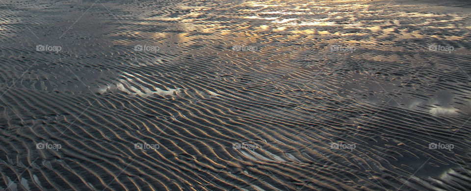Sunlight on sand dune
