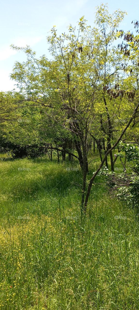 miracle nature pictures