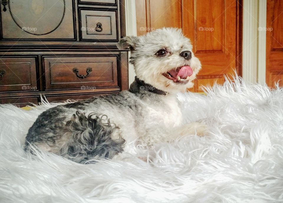 and happy days never stop!