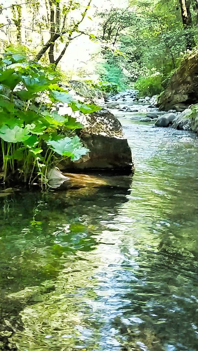 fork at the buttes