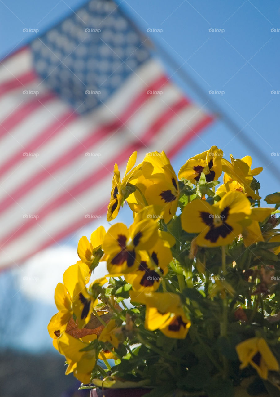 Flag and flowers