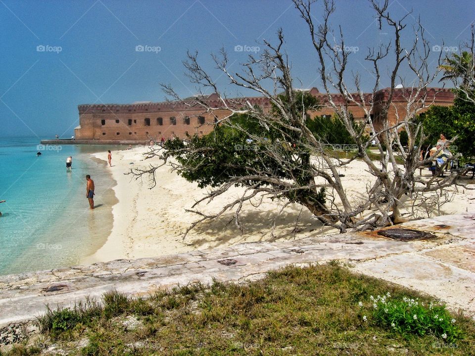 Dry tortuga 