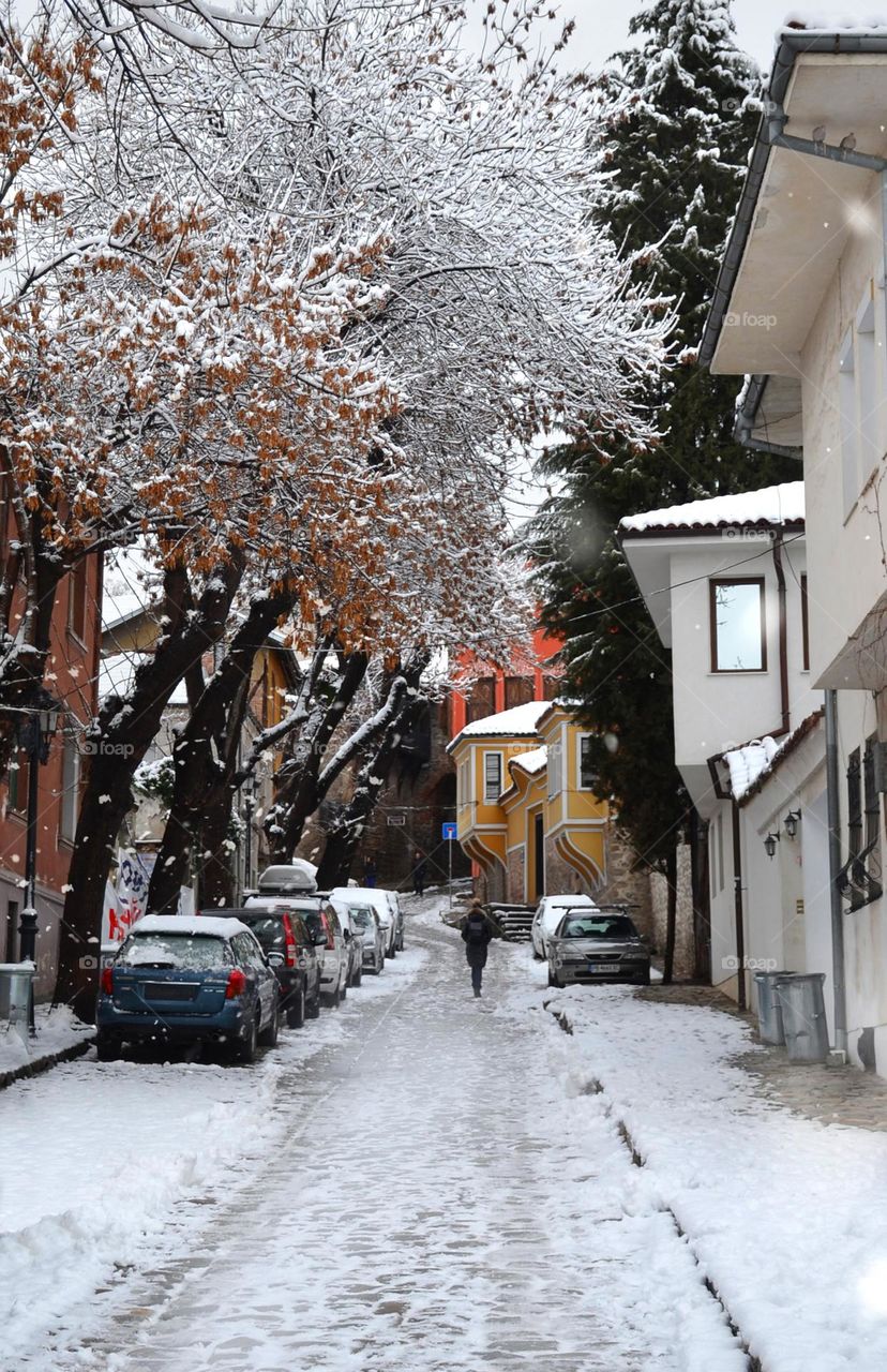 Winter City Landscape