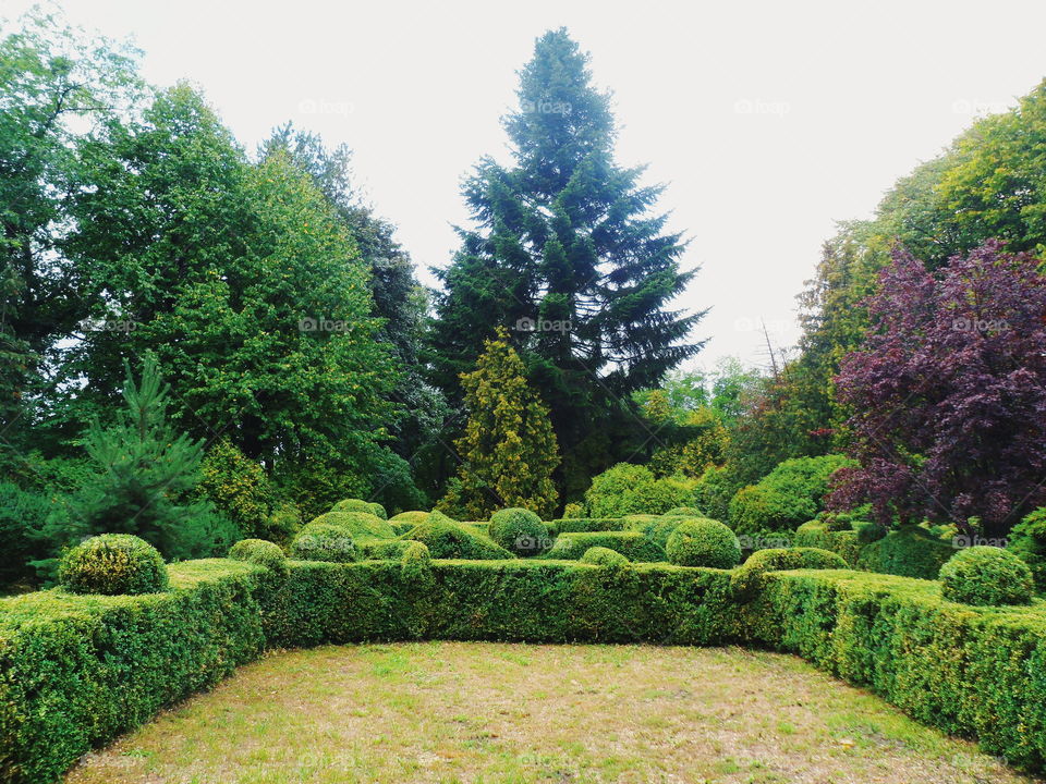 green landscape of the arboretum in the city of Kiev