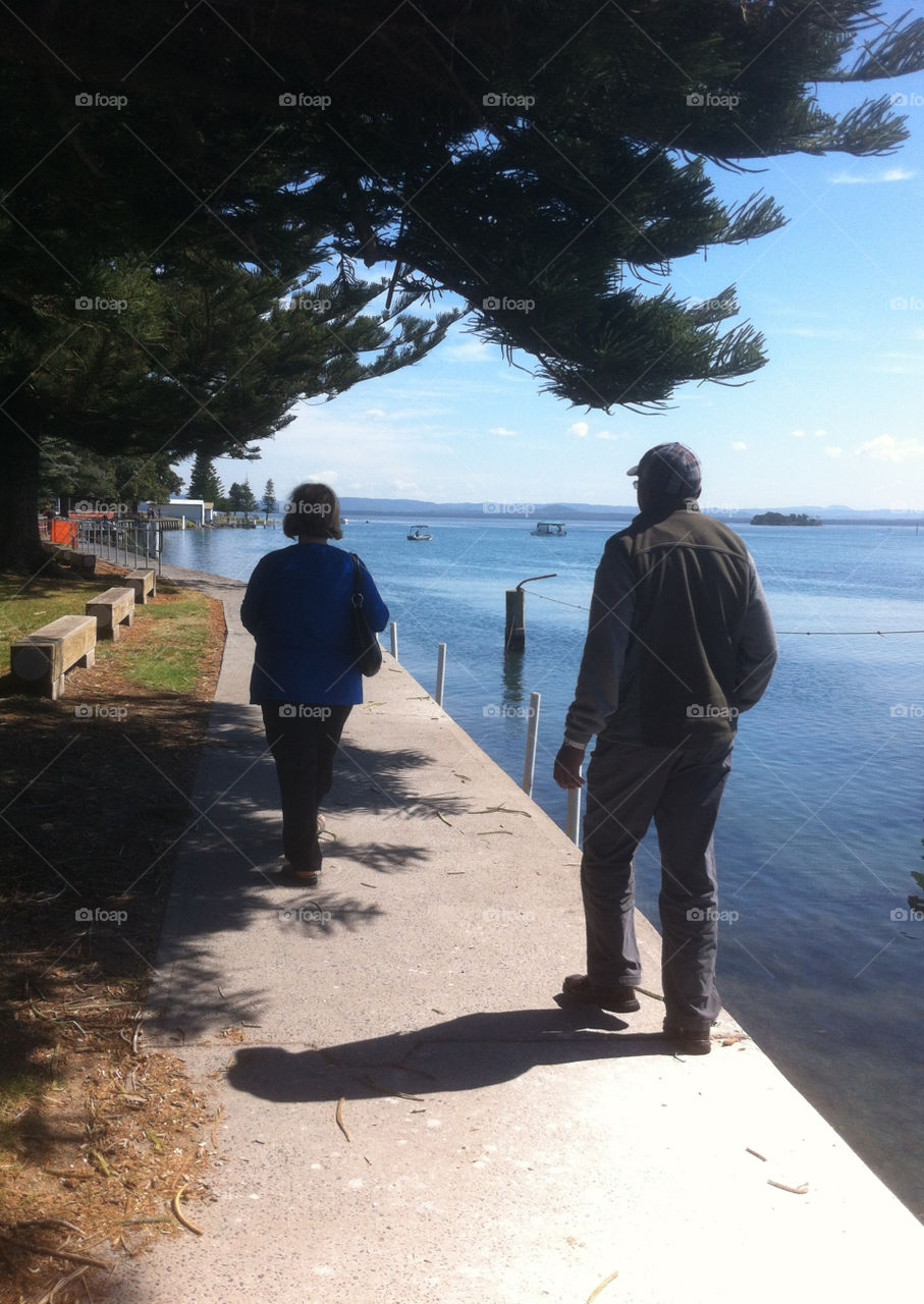 people outdoors grass tree by king