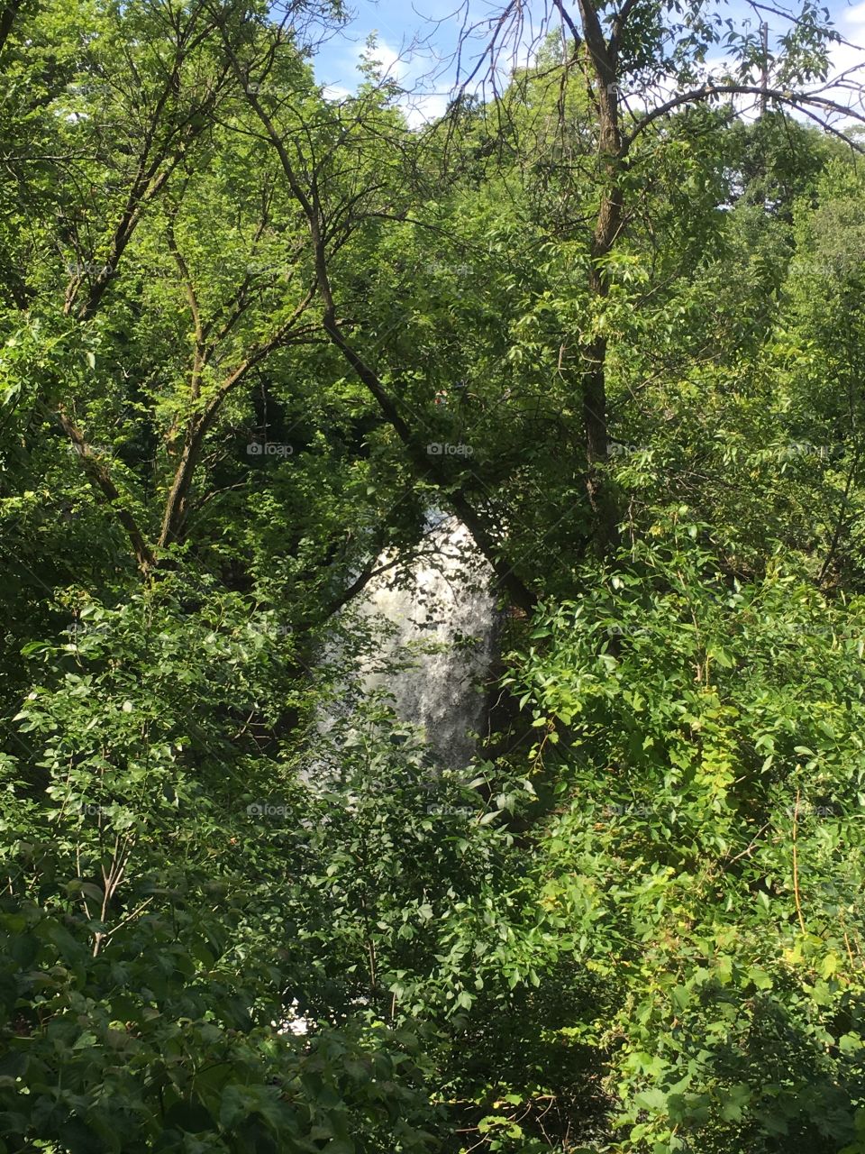 Waterfall hidden behind trees very cool