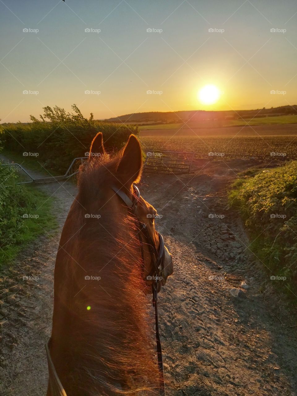 Sunset ride