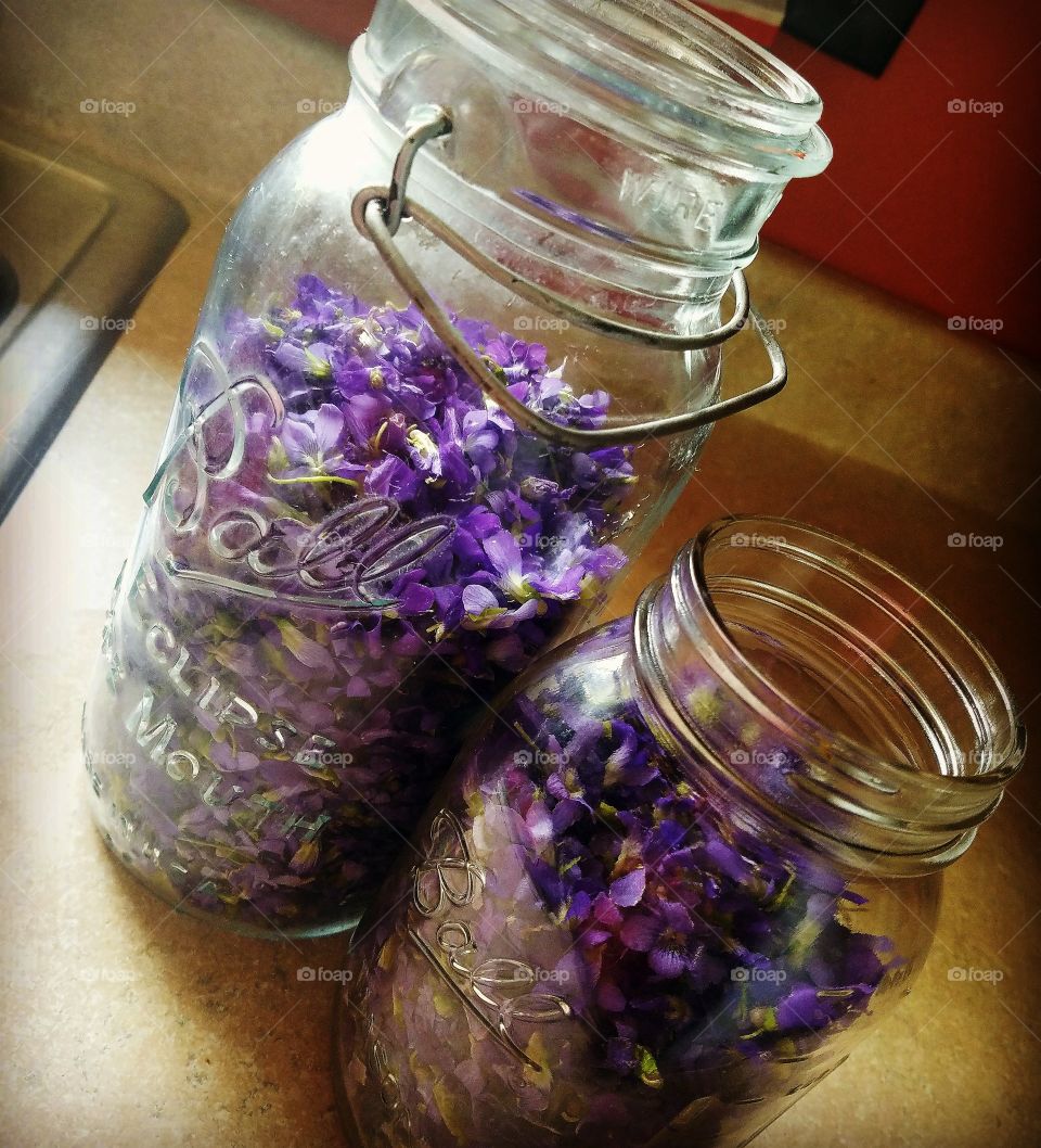 vintage violets