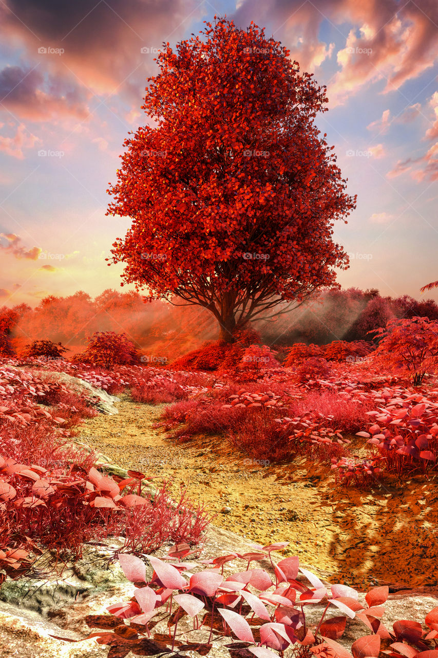 Red Tree