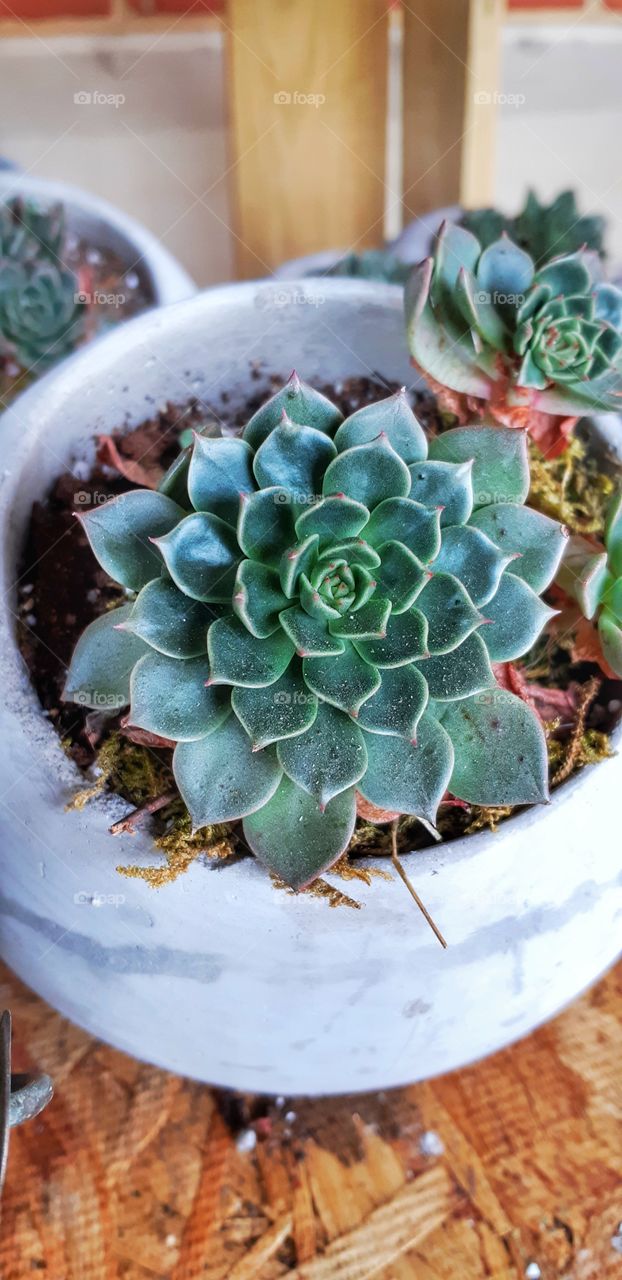 How articulate the mother nature is with its patterns and lines and curves.