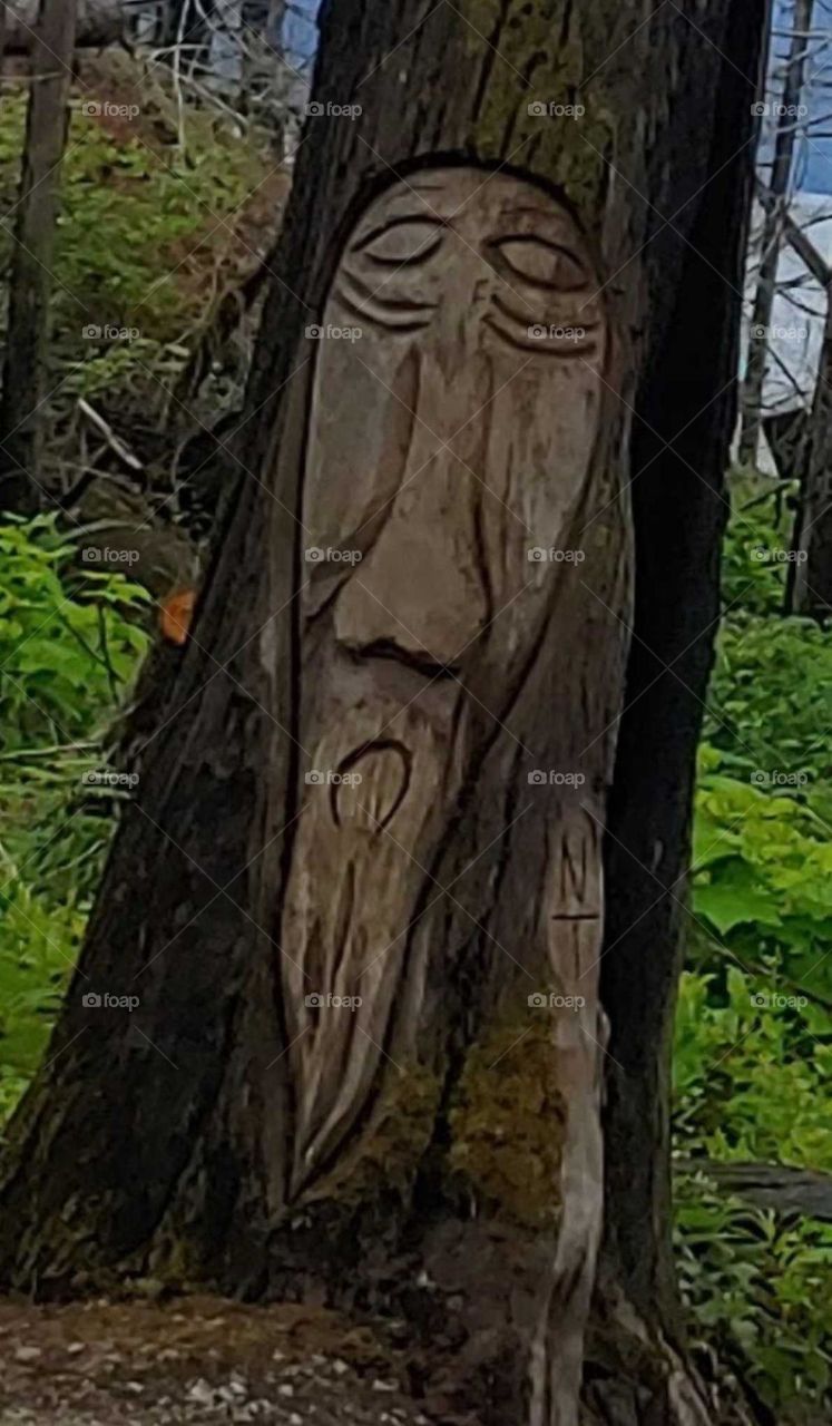 old soul carving on tree