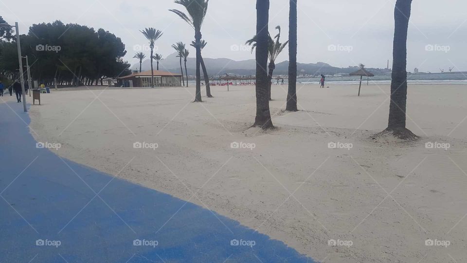 el invierno tiene un color especial