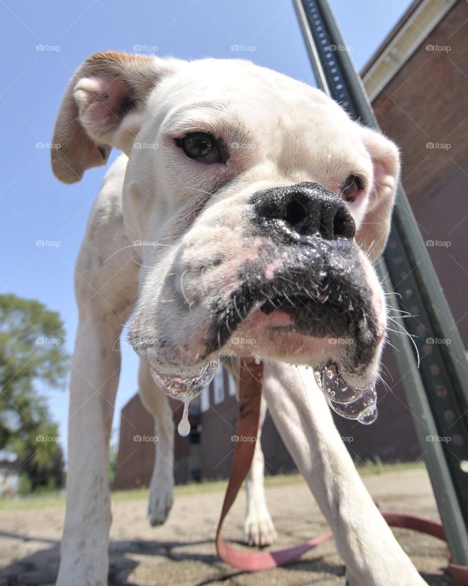 My view of this bubbling beast