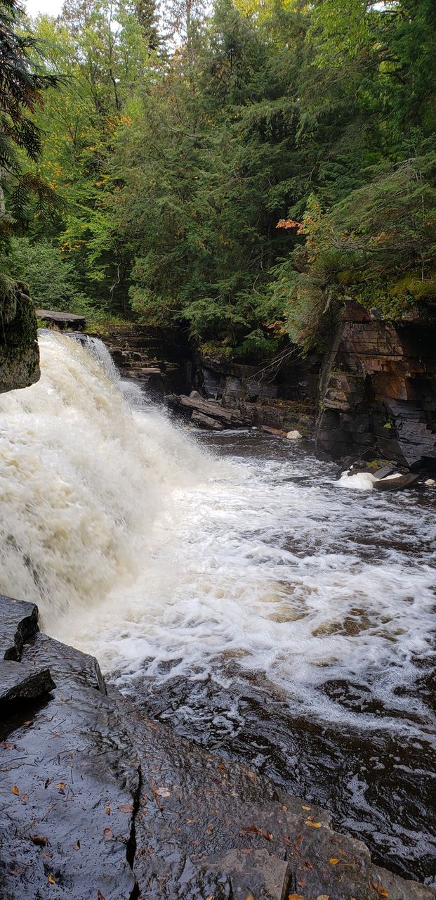 Canyon Falls
