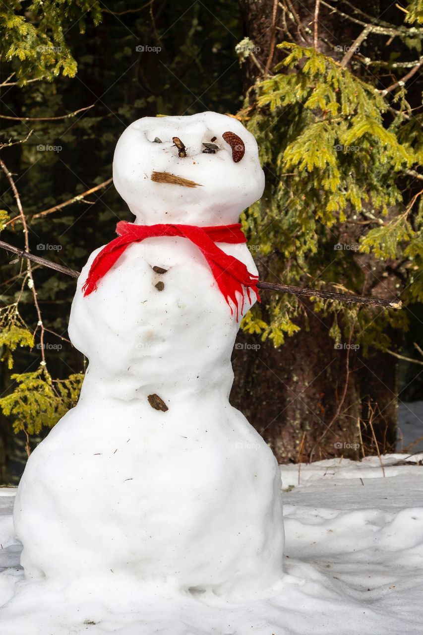 First sign of winter and funny snowman