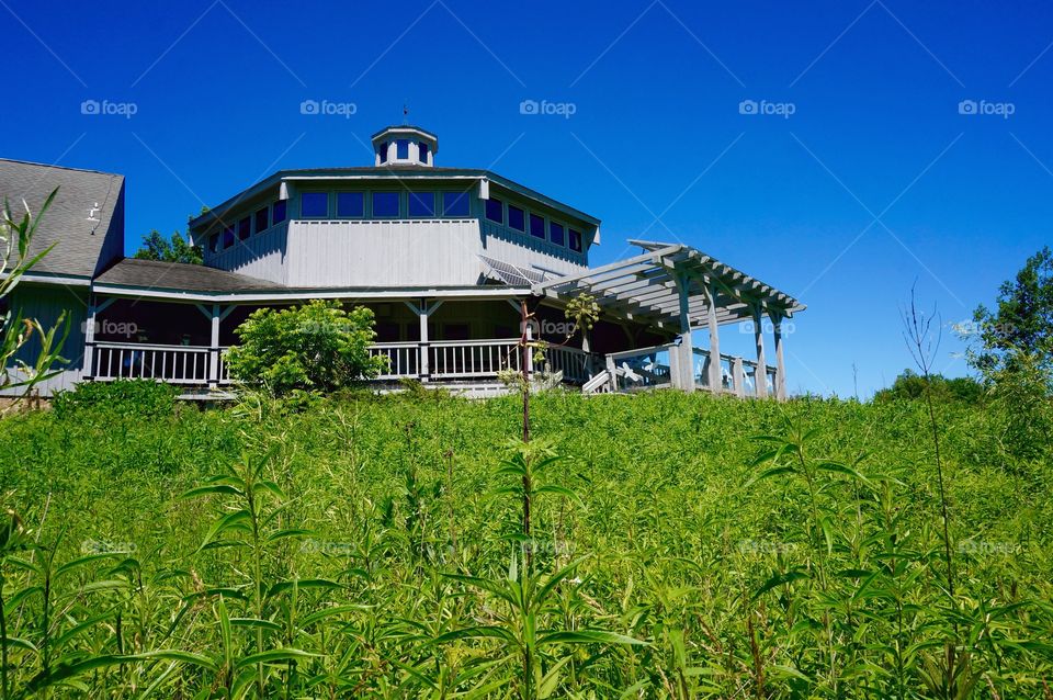 Nature. Barn