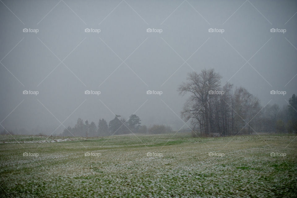 Scenic view in winter