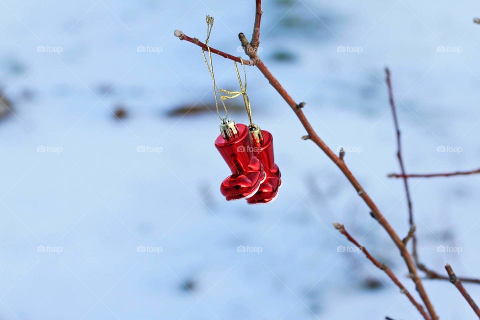 Christmas Red boots on branch winter