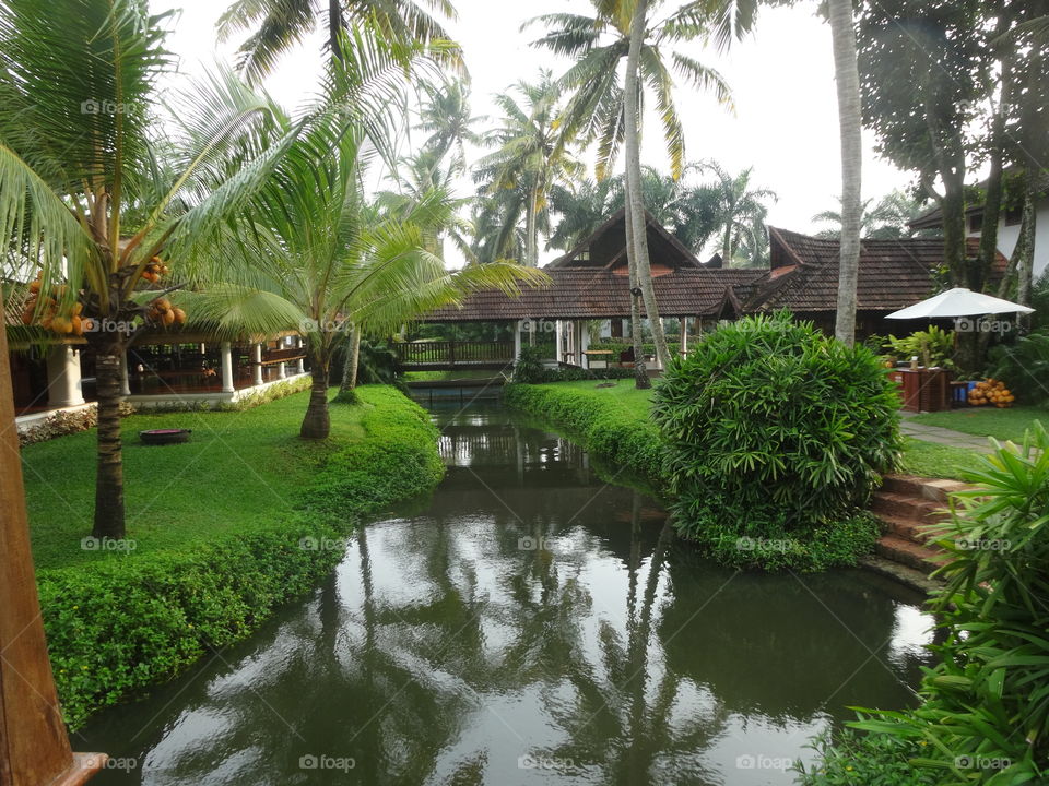 hotel in the backwaters