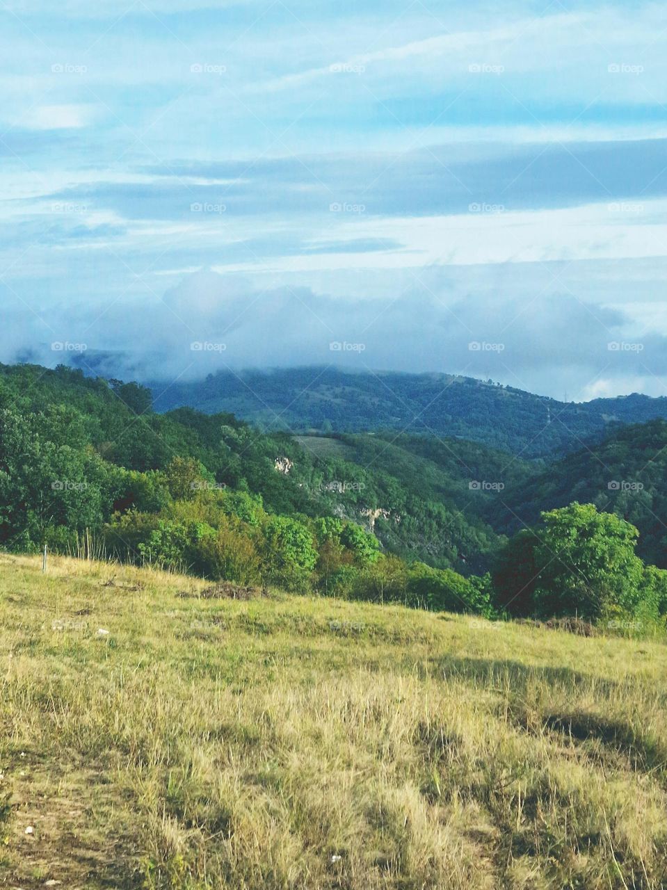 hill landscape