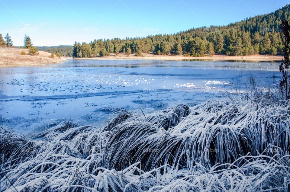 Frosty Marvels: Nature's Ice Artistry Frozen Lake