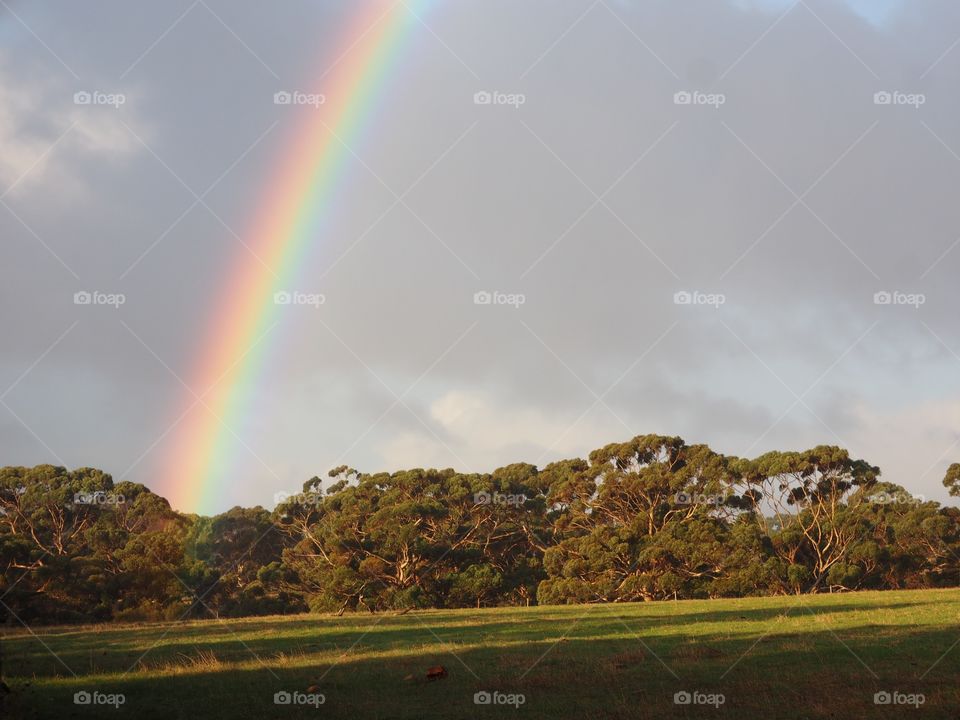 Rainbow Kangaroo Island Winter