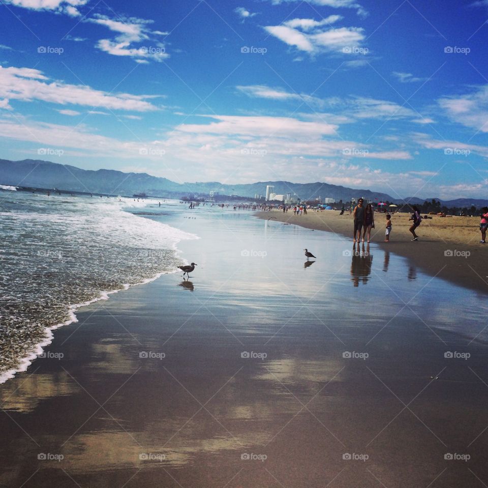 Beach. Santa Monica