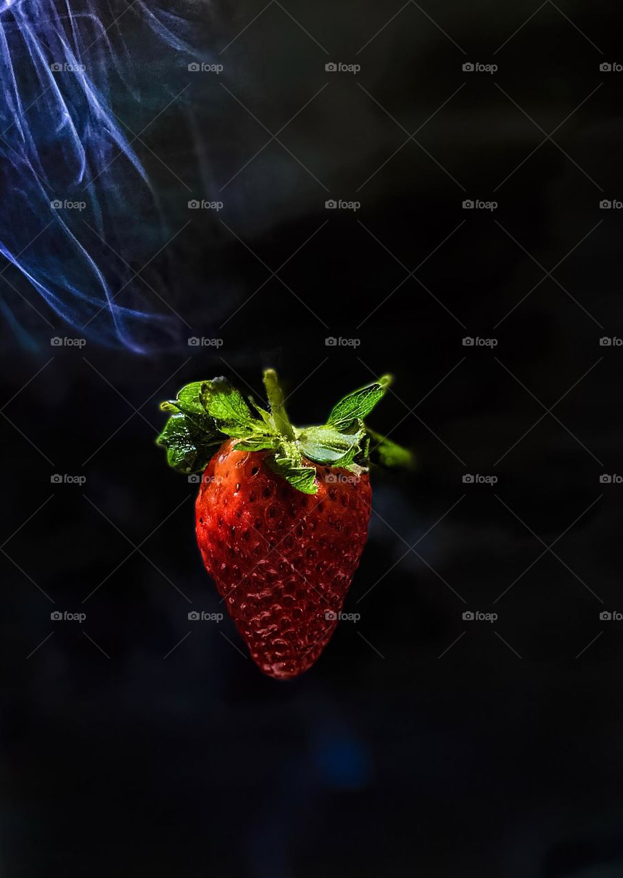 Fly Strawberry Fly 