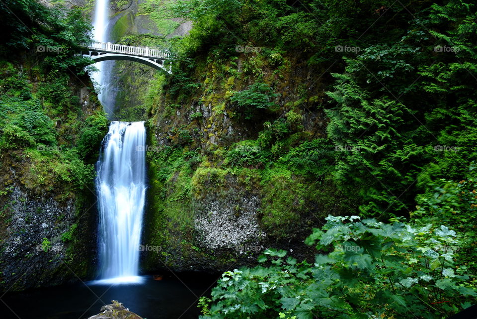 Multnomah falls Oregon State