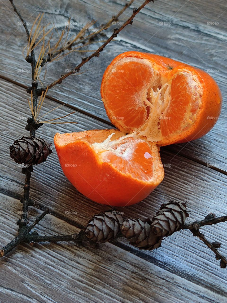 Fruits.  Torn in half tangerine and branch with cones