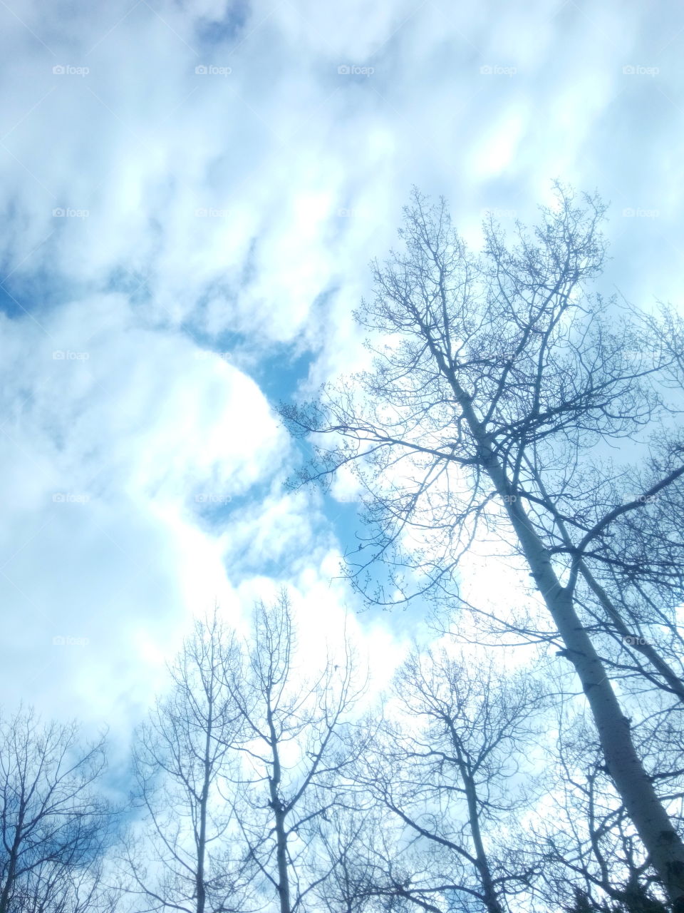 clouds. blue sky clouds