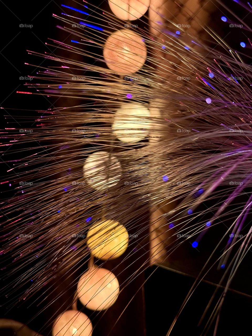 Light fell in love that night — golden warmth and violet fire dancing slow 💜