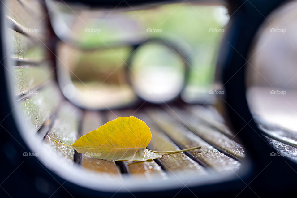 Yellow autumn leaf at the park bench