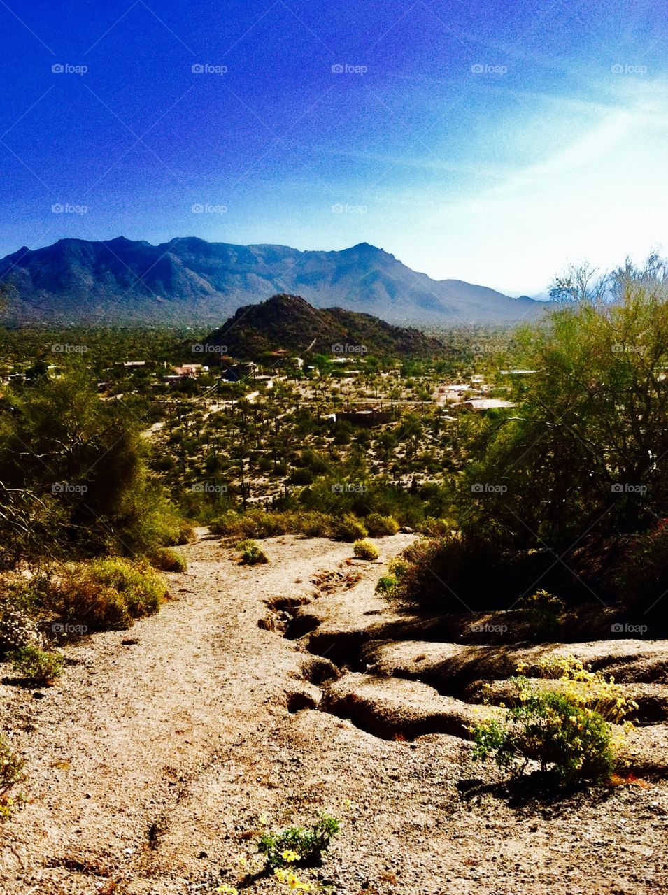 Hiking up thunder mountain in Arizona 