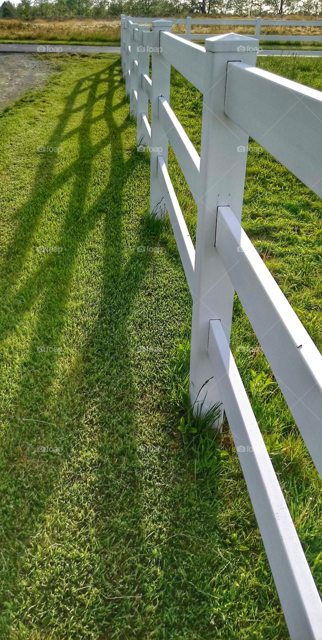 White Fence