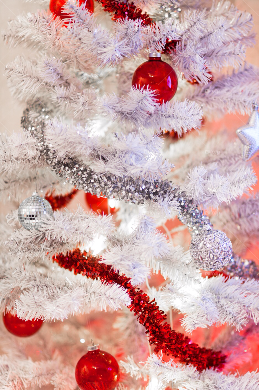 winter red white tree by comonline
