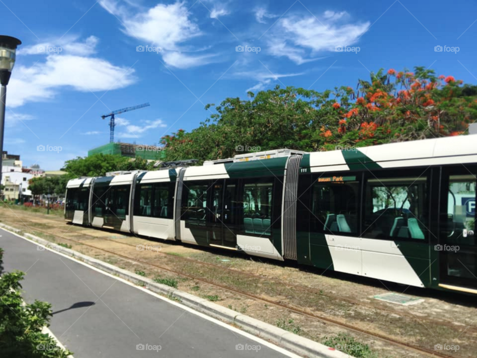 Tram in the Park
