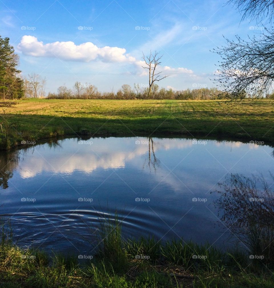 Beautiful Spring day