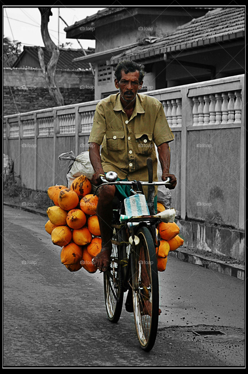Coconots on a bike