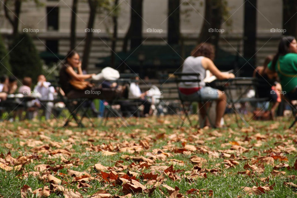 park autumn nyc seven bryant park nyc usa by kandovit