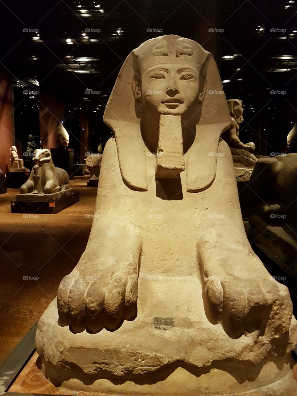 Statue of the Sphinx at the Egyptian Museum of Turin