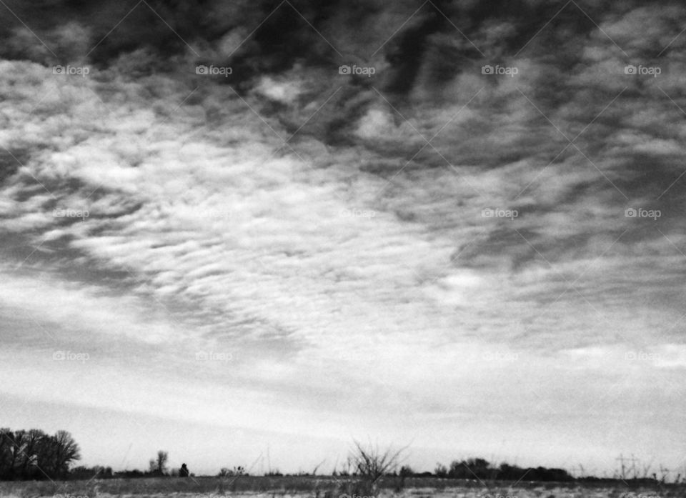 Waiting For Spring #2