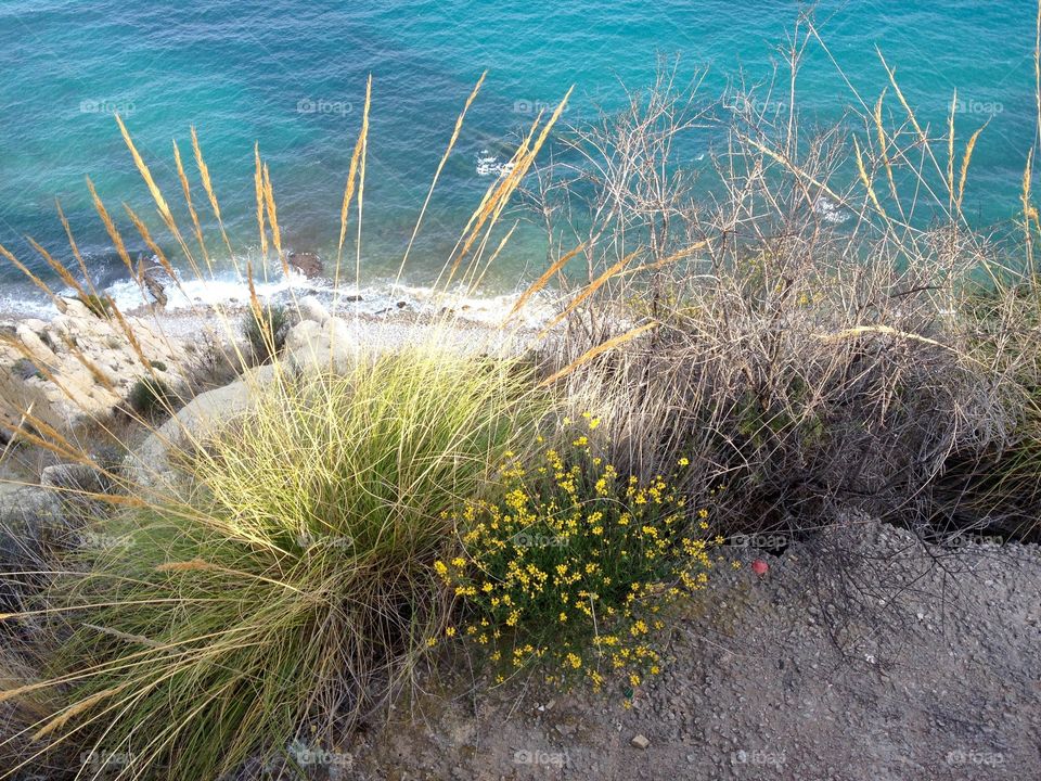 Awesome beaches and cliffs