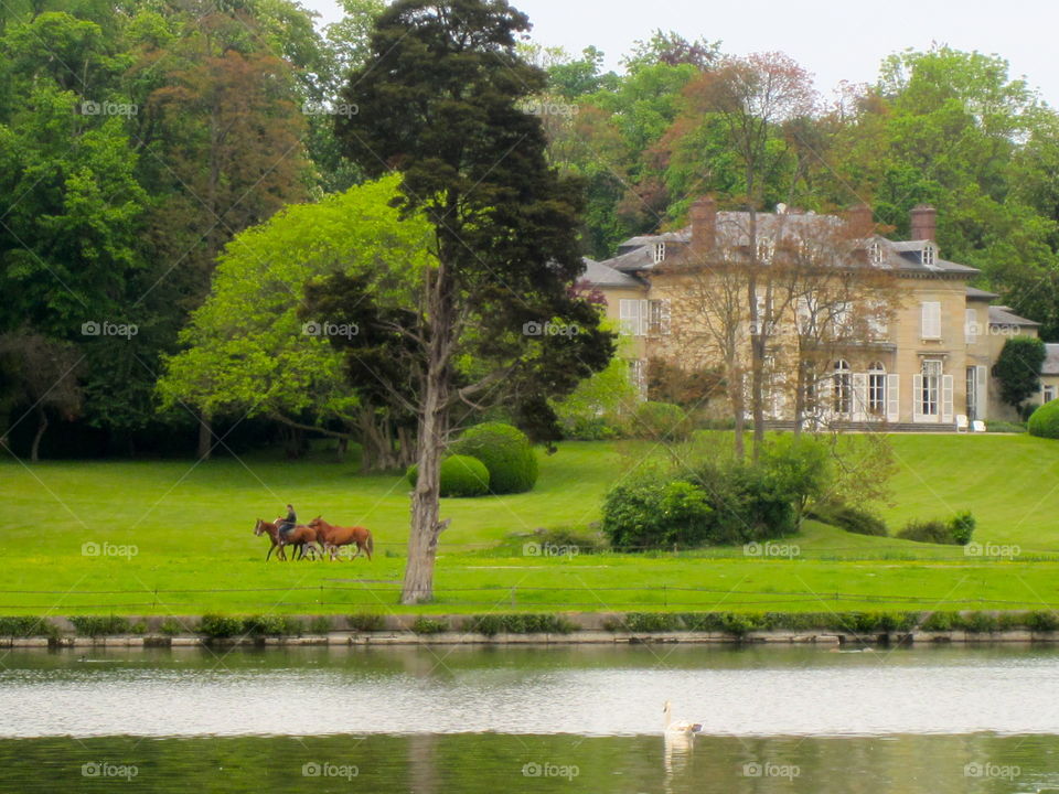 Water, Tree, Architecture, Lake, No Person