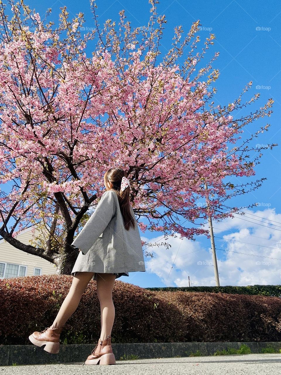 A girl and sakura 🌸