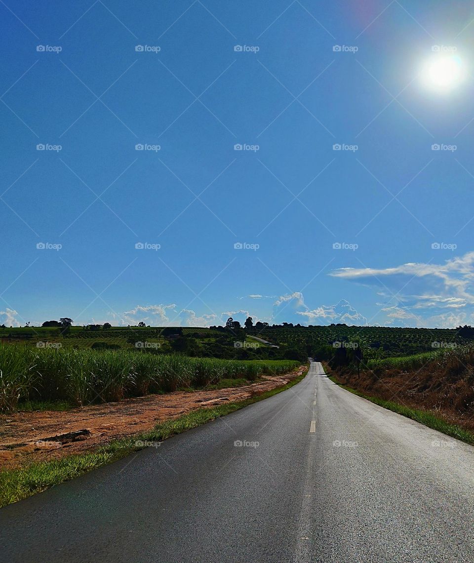 Rural roads in the interior of Brazil are beautiful, with unique landscapes, including plantations typical of each location. The photo highlights the cultivation of sugar cane.