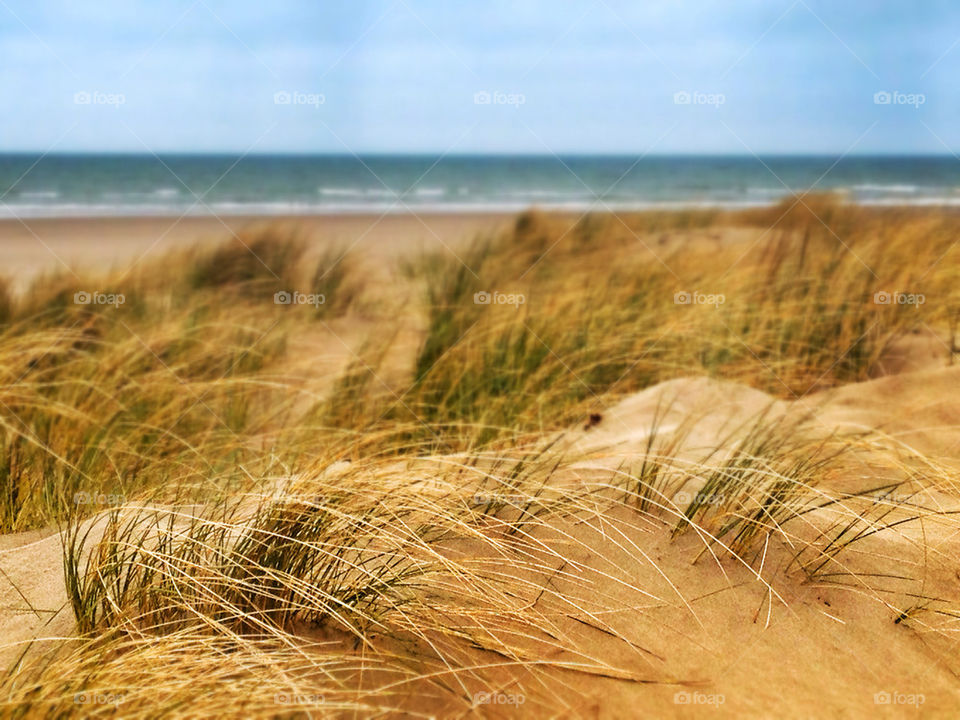 Sand dune,sea,coast