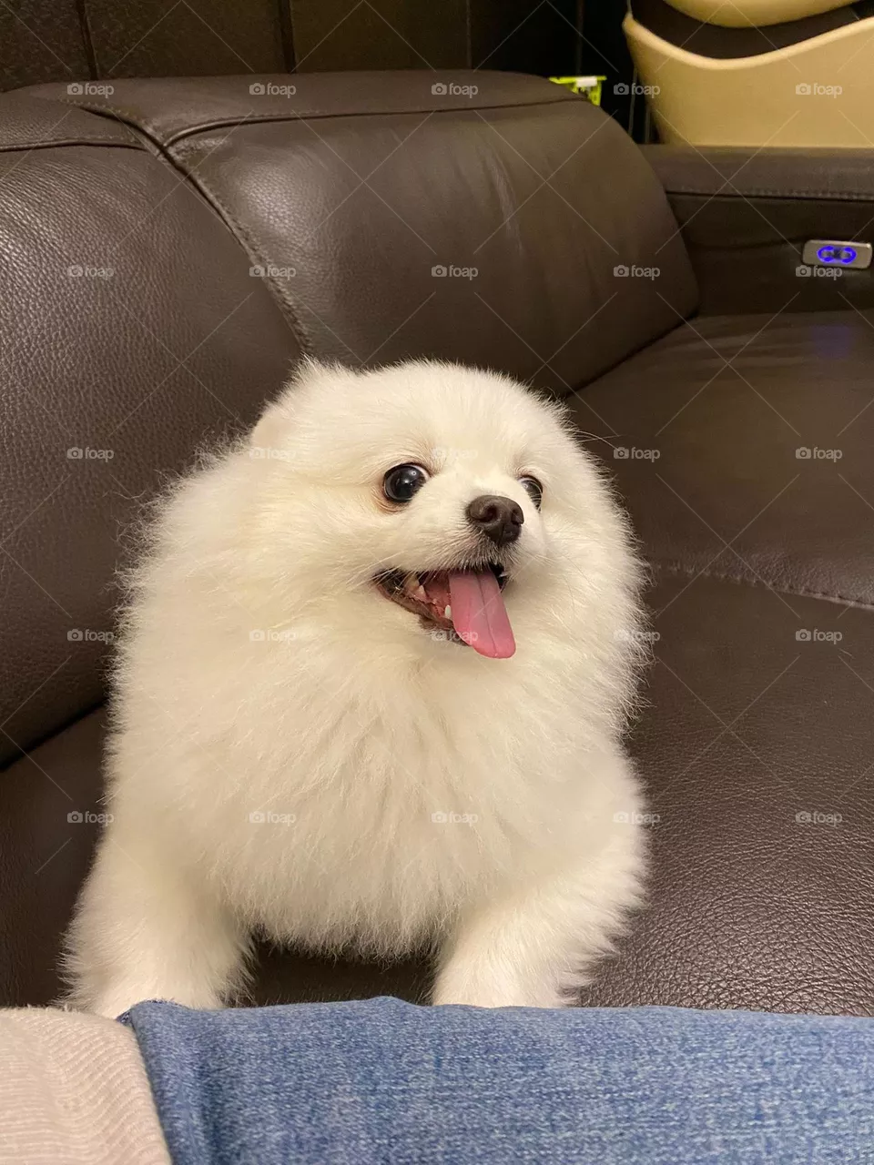 happy