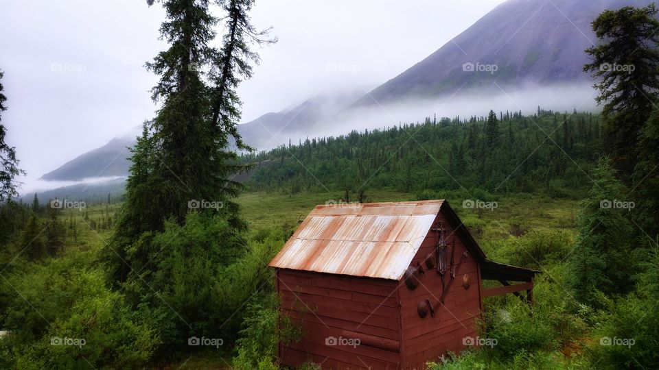 Surrounded in the morning mist. this pioneer cabin remains in spite of the harsh elements of time.